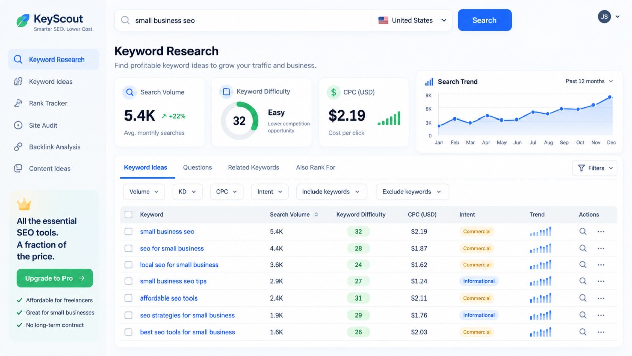 Cheap Semrush alternative showing keyword research data for small business SEO.jpg